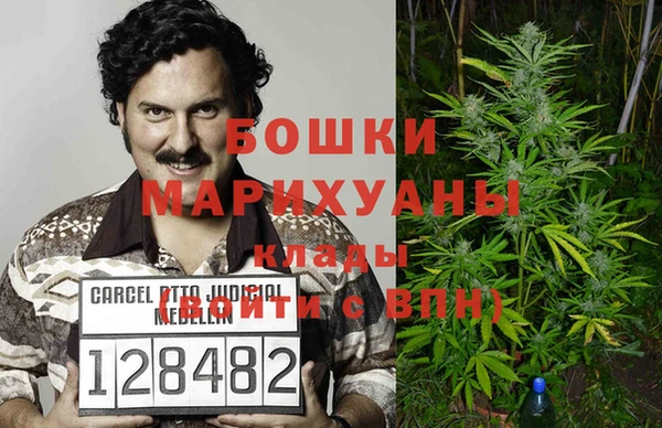 молекула духа Алзамай