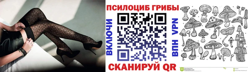 маркетплейс Telegram  Стародуб  Галлюциногенные грибы Psilocybine cubensis  наркота 